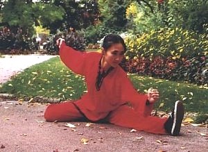 Tai Chi Chuan